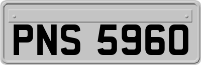 PNS5960