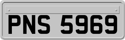 PNS5969