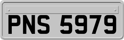 PNS5979