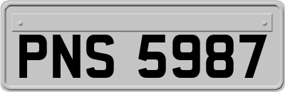 PNS5987
