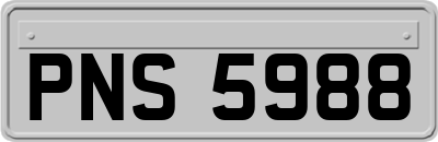 PNS5988