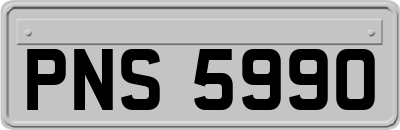 PNS5990