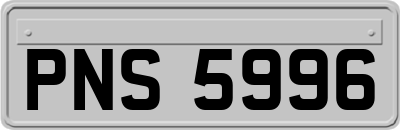 PNS5996