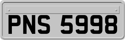 PNS5998