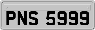 PNS5999