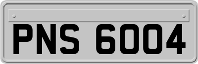 PNS6004