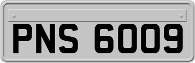 PNS6009