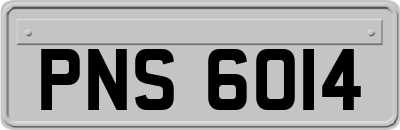 PNS6014