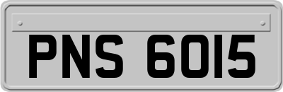 PNS6015