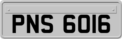 PNS6016