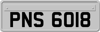 PNS6018