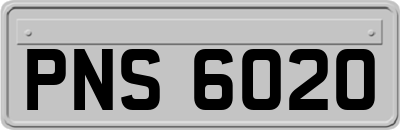 PNS6020