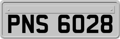 PNS6028