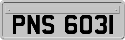 PNS6031