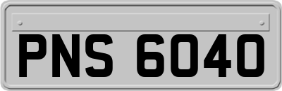 PNS6040