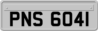 PNS6041