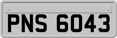 PNS6043