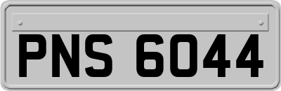 PNS6044