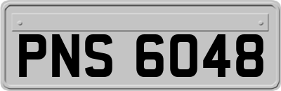 PNS6048