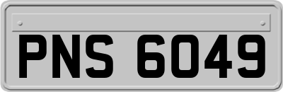 PNS6049