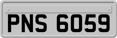 PNS6059