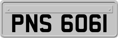 PNS6061