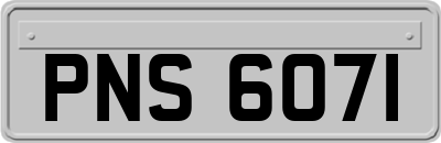 PNS6071