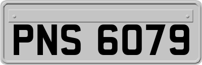 PNS6079
