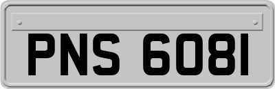 PNS6081