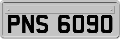 PNS6090