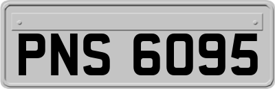 PNS6095