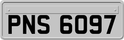 PNS6097