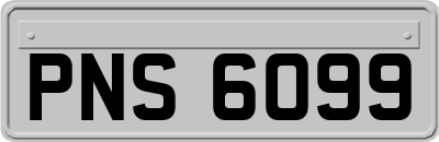 PNS6099