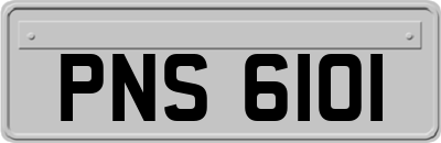PNS6101