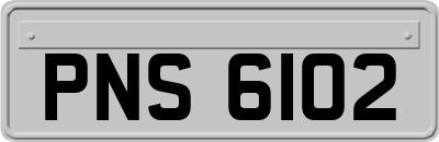 PNS6102