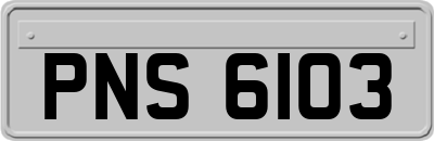 PNS6103