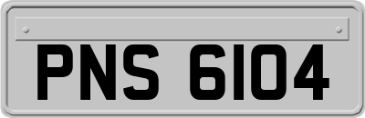 PNS6104