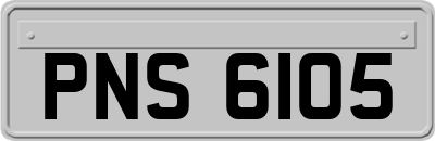 PNS6105