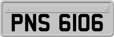 PNS6106