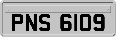PNS6109