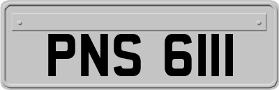 PNS6111
