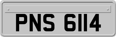 PNS6114