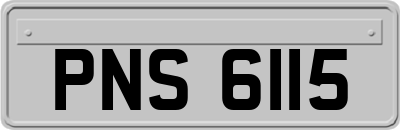 PNS6115