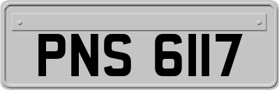 PNS6117