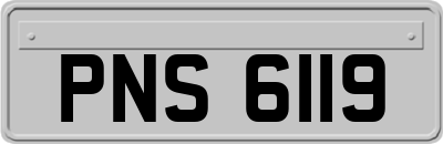PNS6119