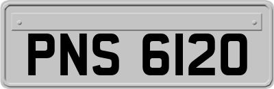 PNS6120
