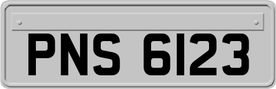 PNS6123