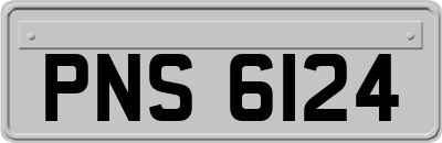 PNS6124