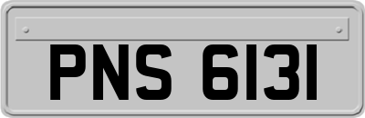 PNS6131