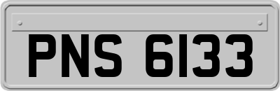 PNS6133